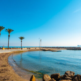 Beach with palm trees in the coastal town of Torrevieja next to the Playa del Cura, Alicante, Valencian Community. Spain, Mediterranean Sea on the Costa Blanca